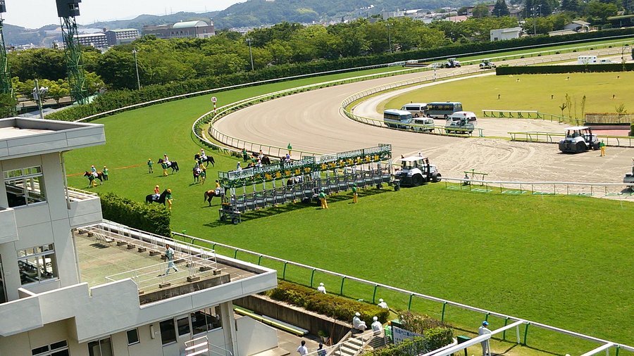 🏇 후쿠시마 경마장 이미지 6